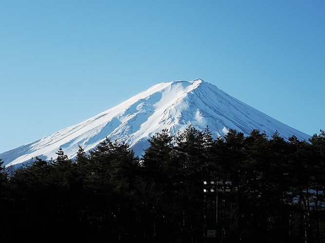 占い師姫皇子のお気に入り写真1